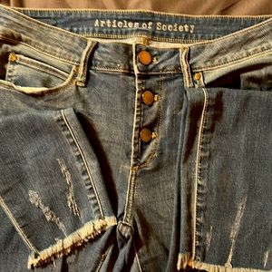 Articles of Society Button Fly Skinny Jeans
